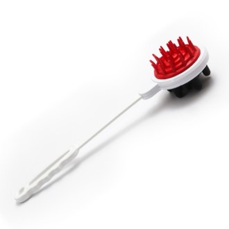 ���� ���� �ȸ��� ���� ����