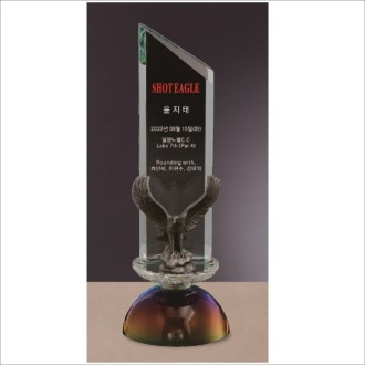 ���� ũ����Ż Ʈ����1